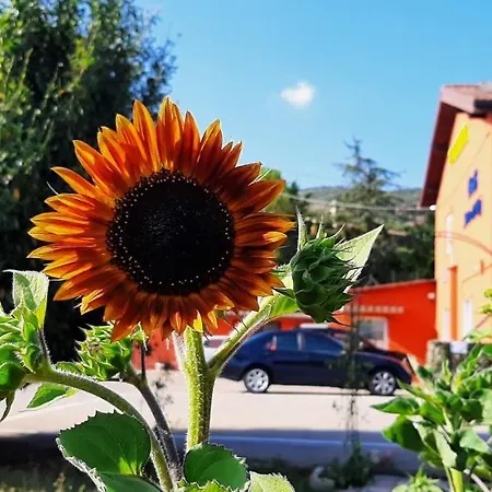 Sotto Li Foj * Picerno