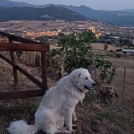 Sotto Li Foj * Picerno