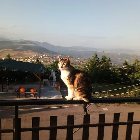 Casa rural Sotto Li Foj *