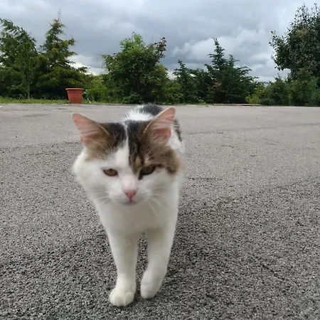 Sotto Li Foj Country house