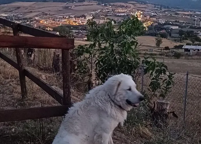 Sotto Li Foj * Picerno