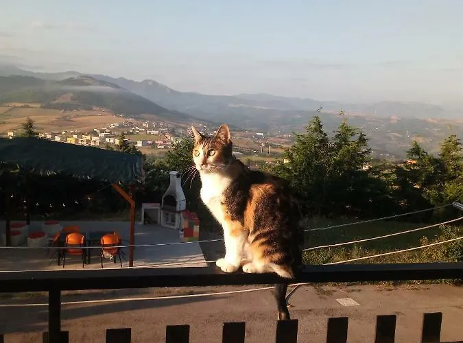 Casa di campagna Sotto Li Foj *