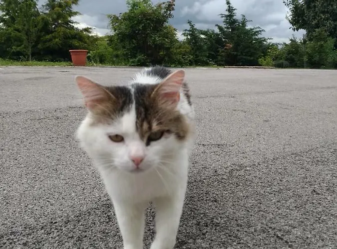 Sotto Li Foj Casa di campagna