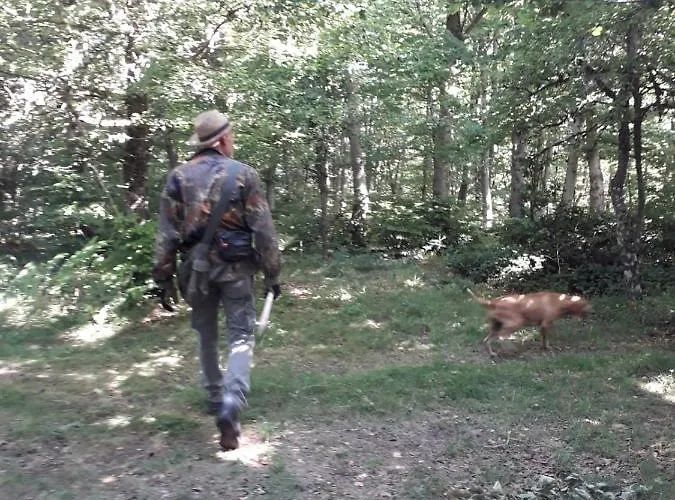 Sotto Li Foj Picerno